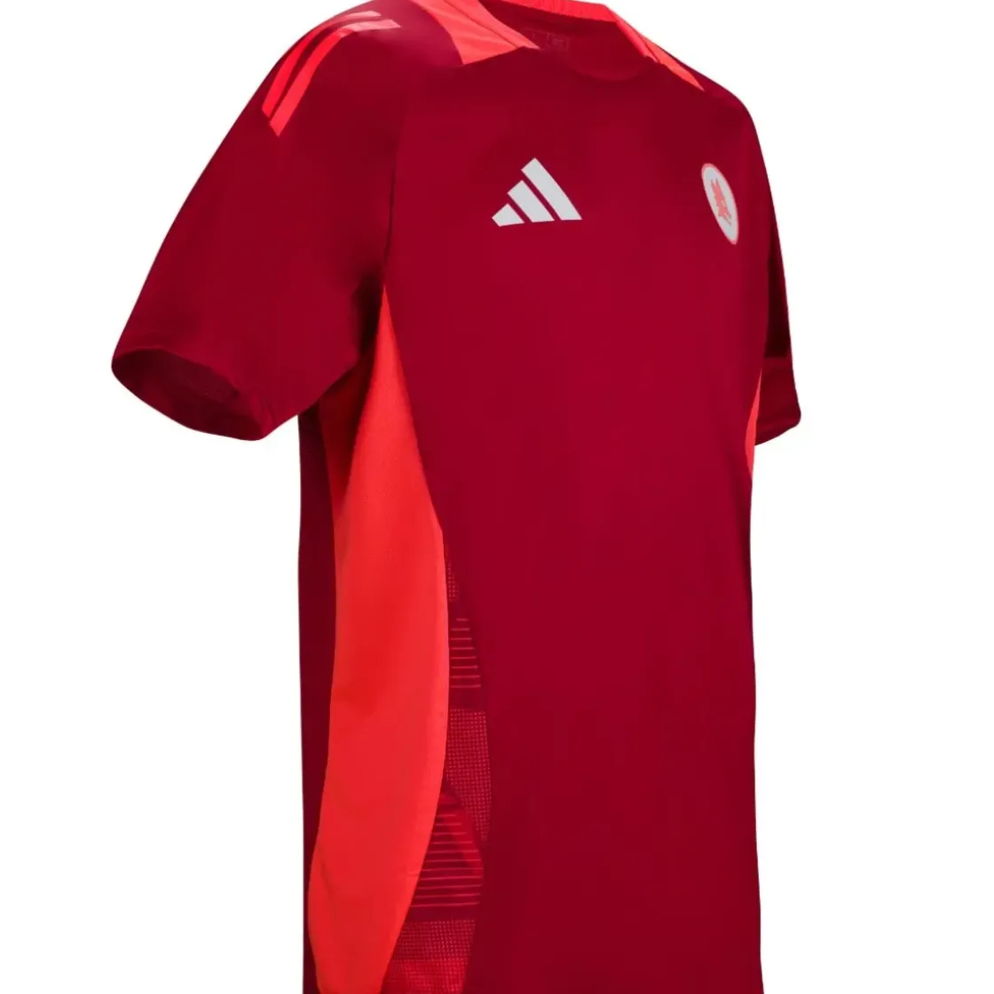 Hot Coach Training T-shirt, Red, Men T-shirts & Polo