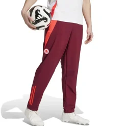 Hot Pre-Match Sweatpants, Men, Bordeaux Tracksuits & Pants