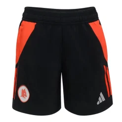 Hot Training Shorts, Black, Kids Kids Shorts