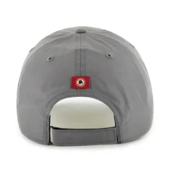 Clearance vintage logo cap, Adult, Grey Caps