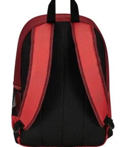Best Sale School backpack double compartment logo Lupetto School Backpacks